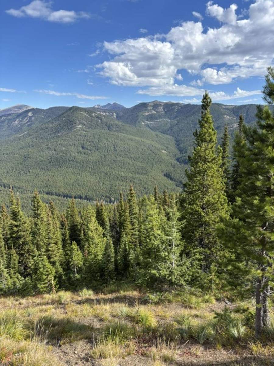 Remote wilderness archery elk camp