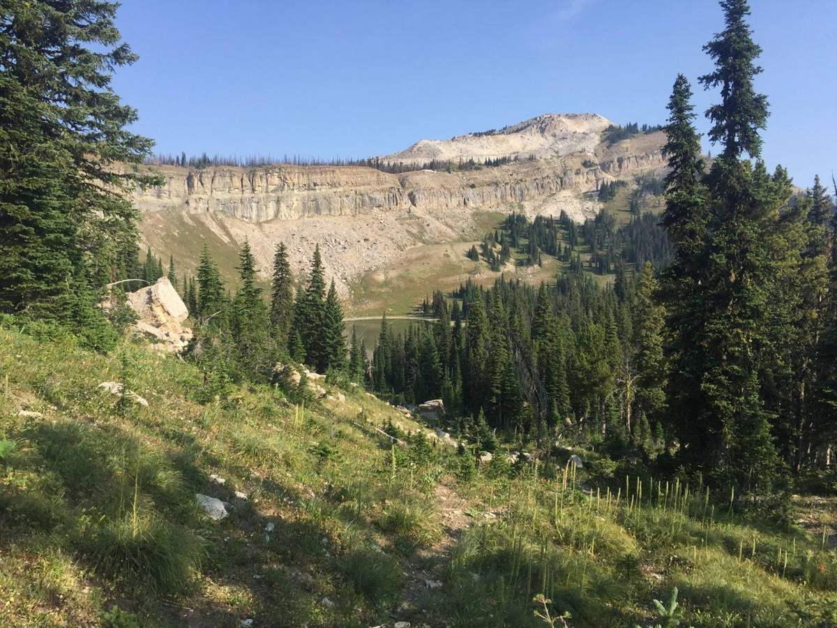 Overnight horseback trip in the Scapegoat Wilderness