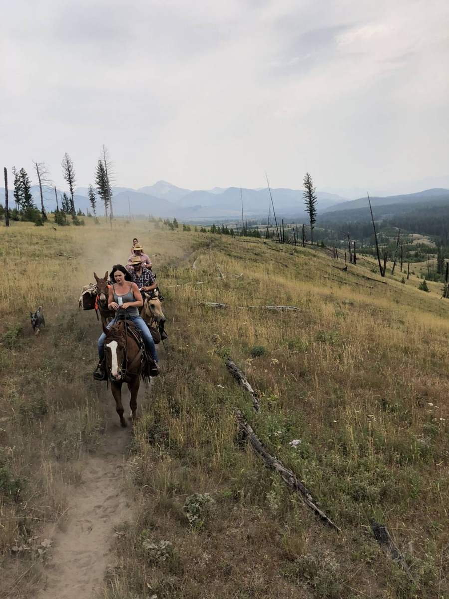 Scenic Montana horseback trail