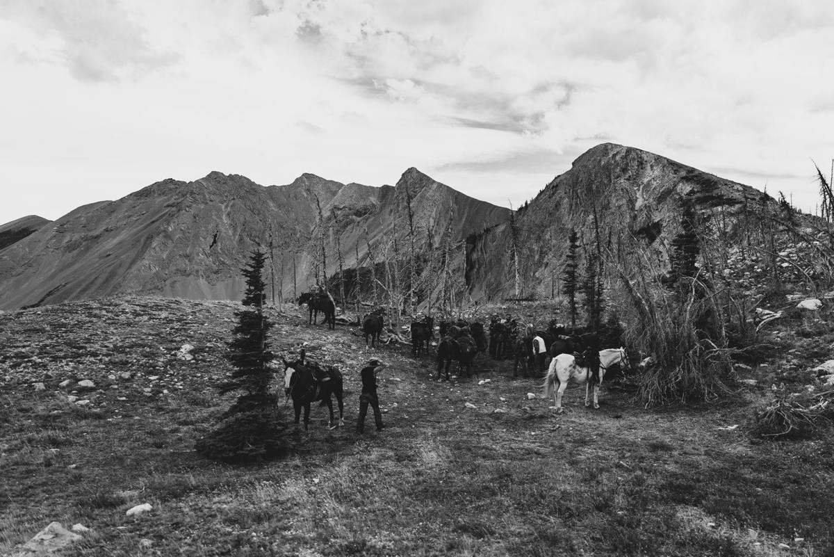 Montana Safaris adventure