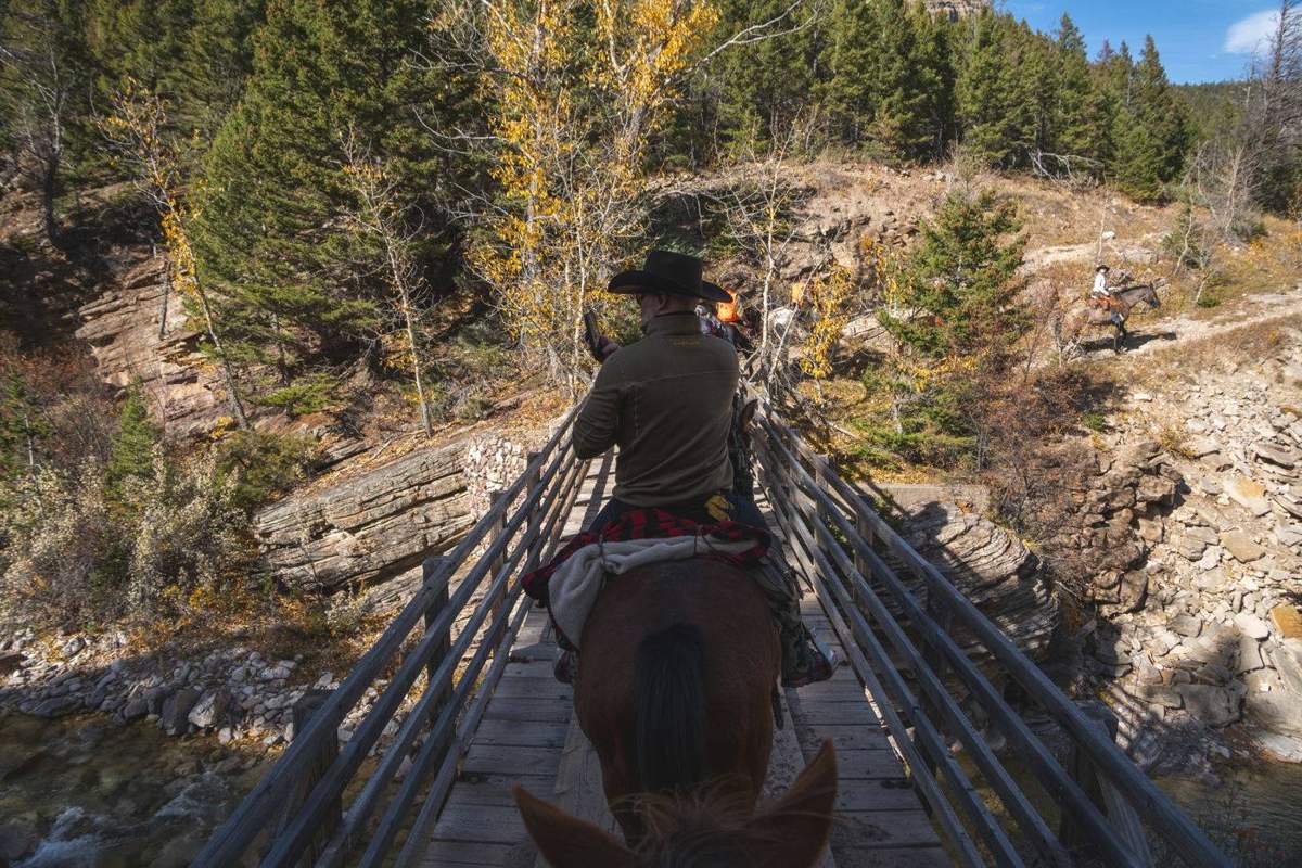 Montana Safaris wilderness backcountry