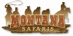 Montana Safaris