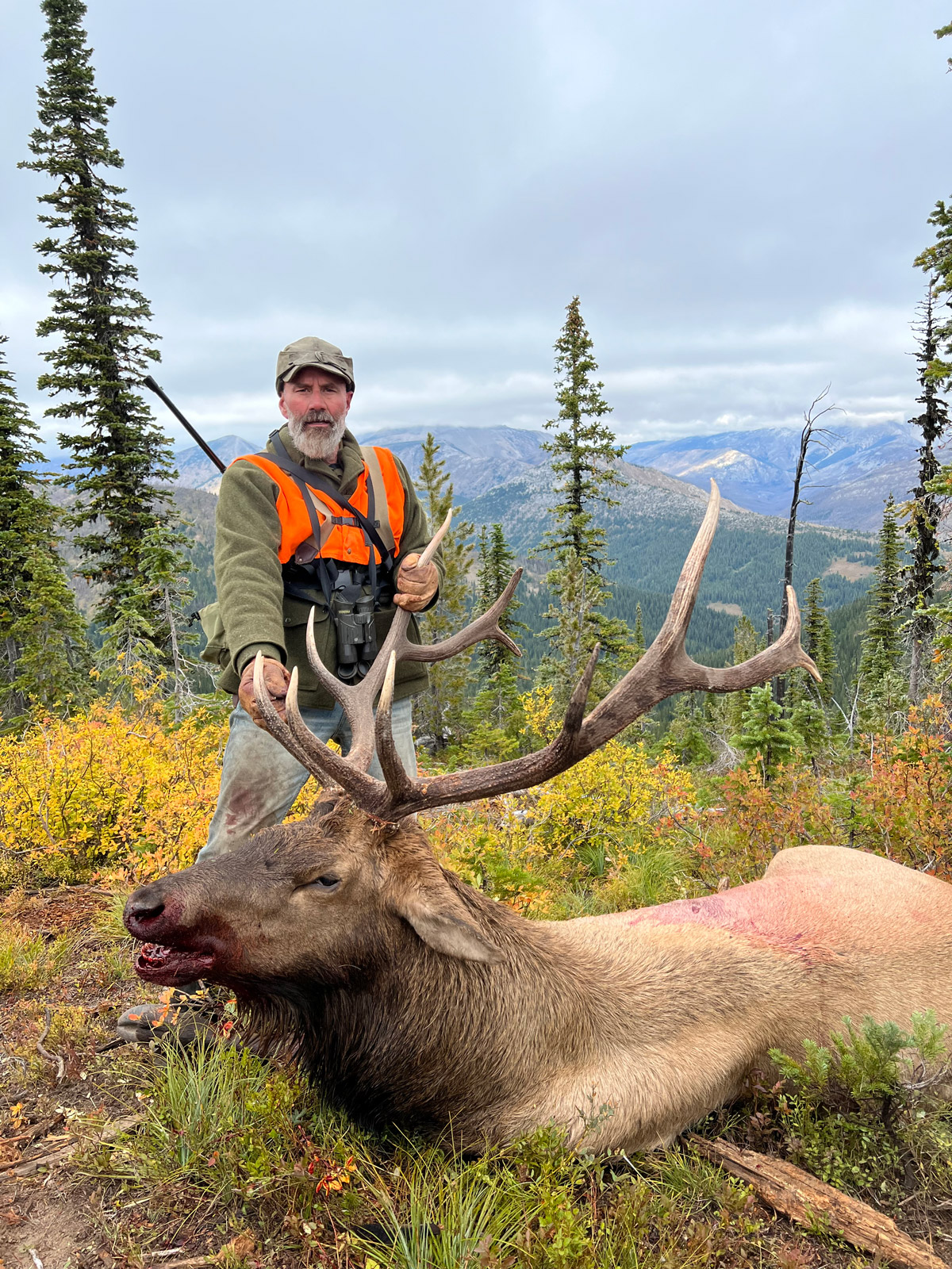 Guided Elk Hunt Montana