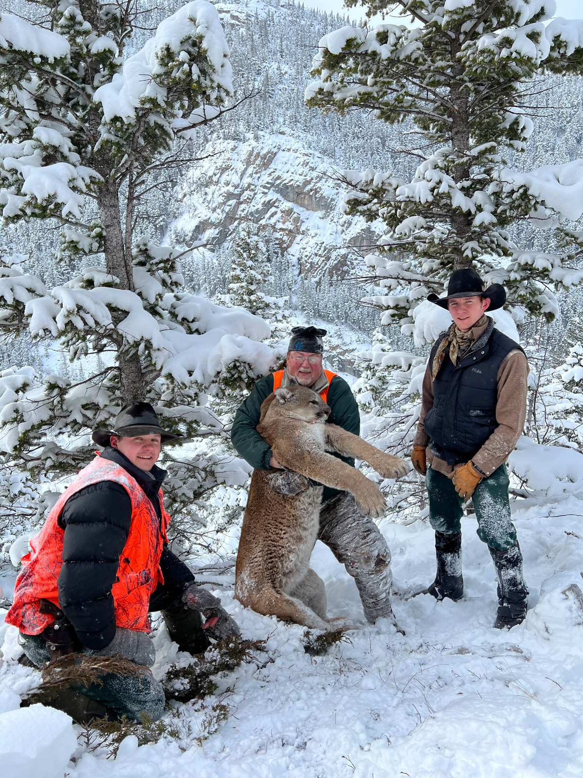Guided Mountain Lion Trips Montana
